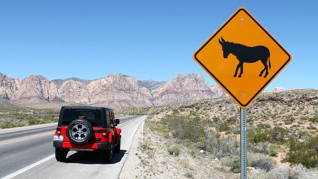 טיולי ג'יפים בדרום