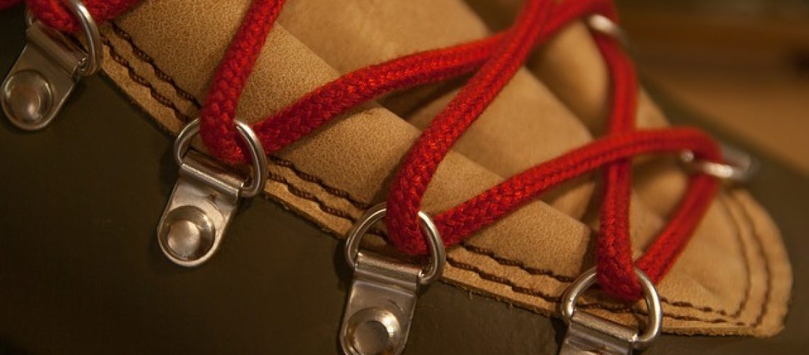 נעלי פלדיום